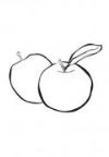 教你画苹果大全：两个苹果简笔画