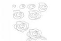 好看的玫瑰花简笔画画法_怎么画好看的玫瑰花