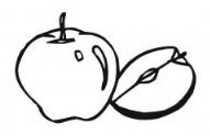 教你画关于苹果的简笔画