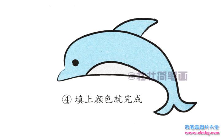 海豚简笔画画法_怎么画海豚的简笔画