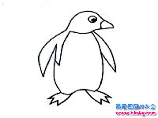 南极企鹅简笔画图片