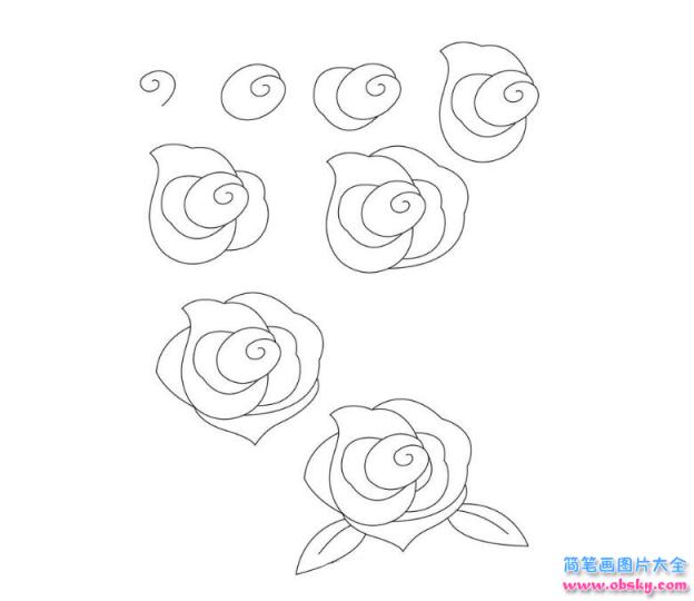 简笔画好看的玫瑰花的具体画法步骤图片教程