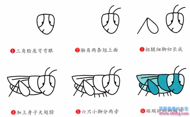 简笔画蚱蜢的具体步骤图示