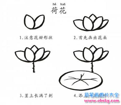 简笔画荷花的具体画法步骤图片教程