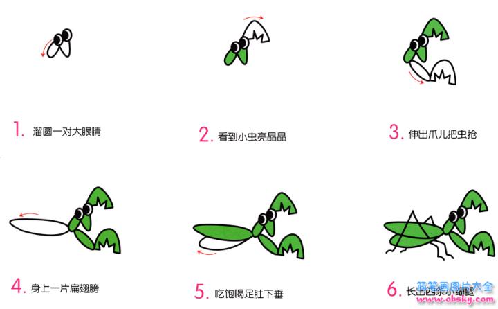 简笔画小螳螂的具体步骤图示