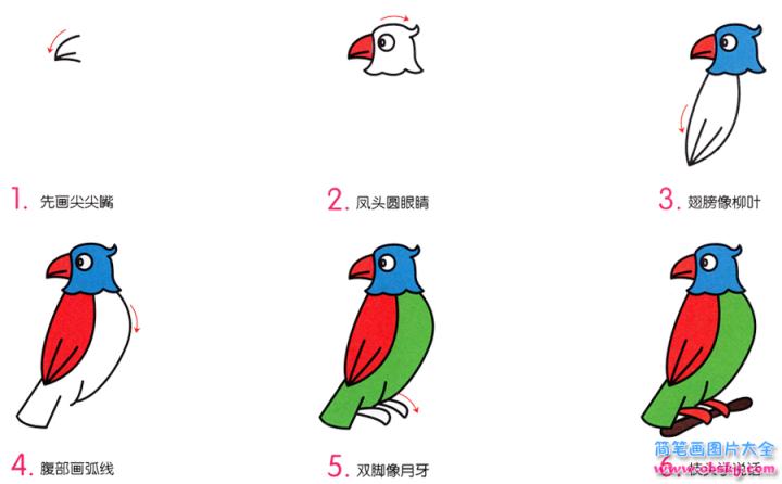 简笔画小鹦鹉的具体步骤图示