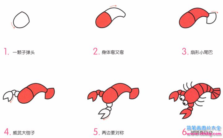 简笔画小龙虾的具体步骤图示