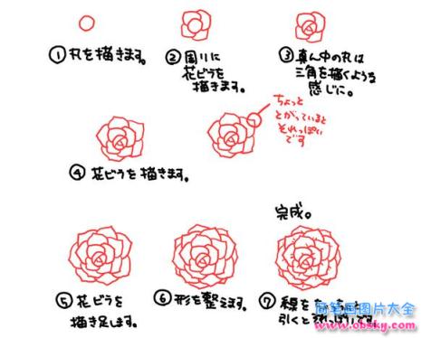 简笔画画玫瑰花的具体画法步骤图片教程
