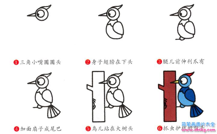 简笔画啄木鸟的具体步骤图示