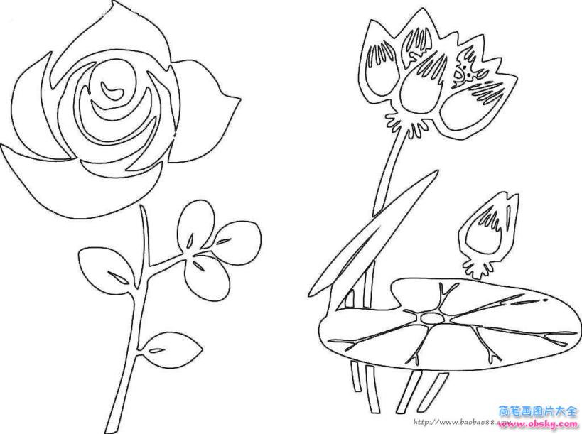 简笔画玫瑰与荷花的具体画法步骤图片教程