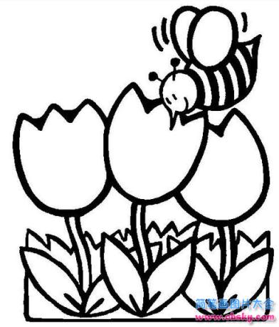 简笔画郁金香和蜜蜂的具体画法步骤图片教程