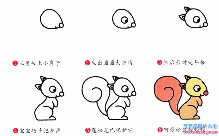 简笔画松鼠的具体步骤图示