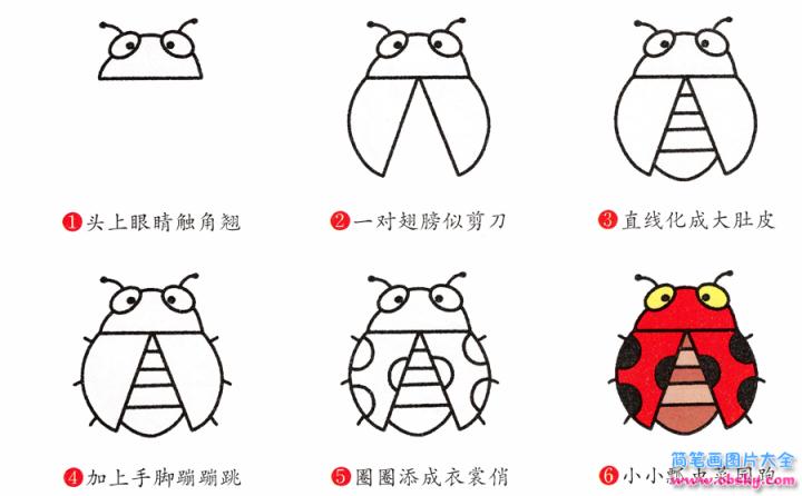 简笔画七星瓢虫的具体步骤图示