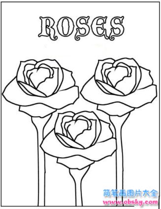 简笔画翘首玫瑰花的具体画法步骤图片教程