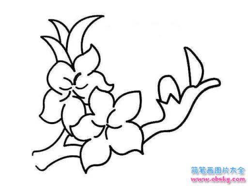 简笔画美丽的桃花的具体画法步骤图片教程