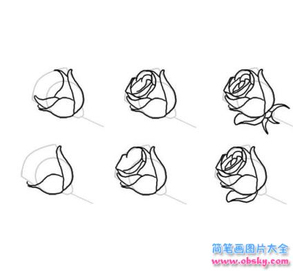 简笔画玫瑰花怎么画的具体画法步骤图片教程