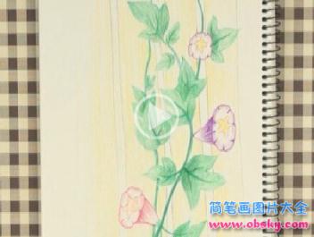 简笔画牵牛花的具体画法步骤图片教程