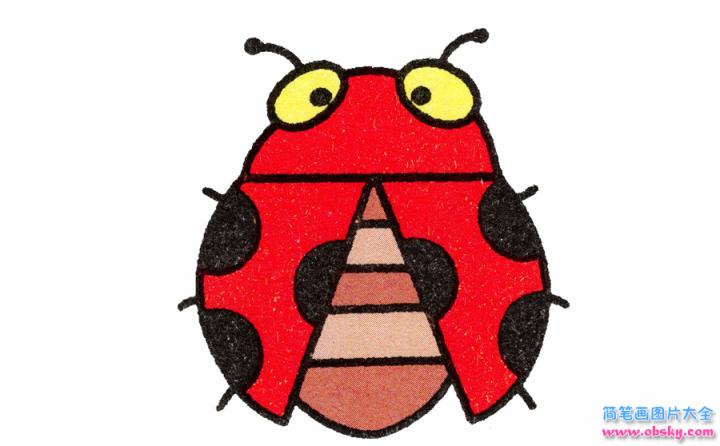 简笔画七星瓢虫的具体步骤图示
