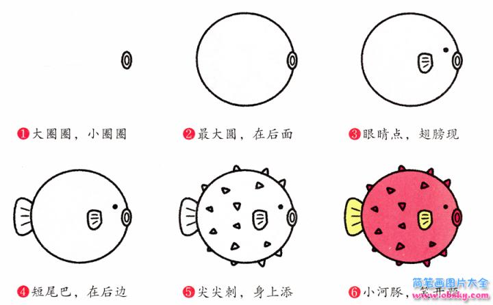 简笔画河豚的具体步骤图示