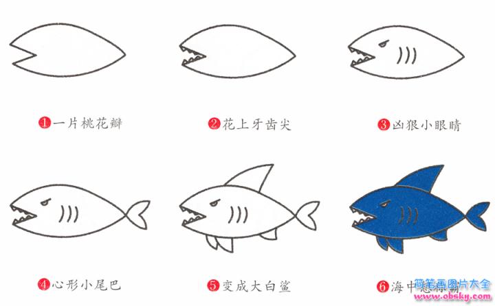 简笔画鲨鱼的具体步骤图示