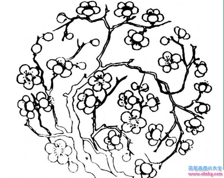 简笔画梅花朵朵开的具体画法步骤图片教程