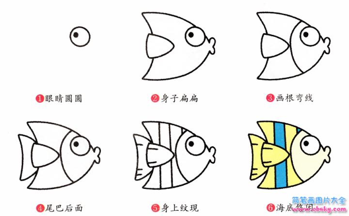 简笔画热带鱼的具体步骤图示