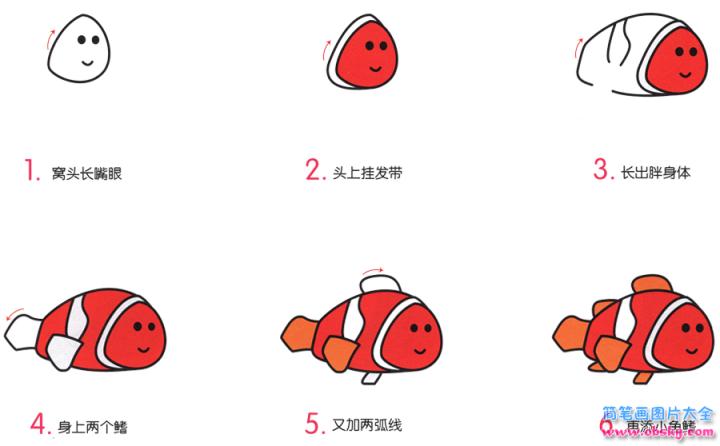 简笔画小丑鱼的具体步骤图示