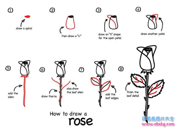 简笔画漂亮的漂亮的玫瑰花的具体画法步骤图片教程