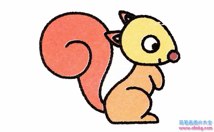 简笔画松鼠的具体步骤图示