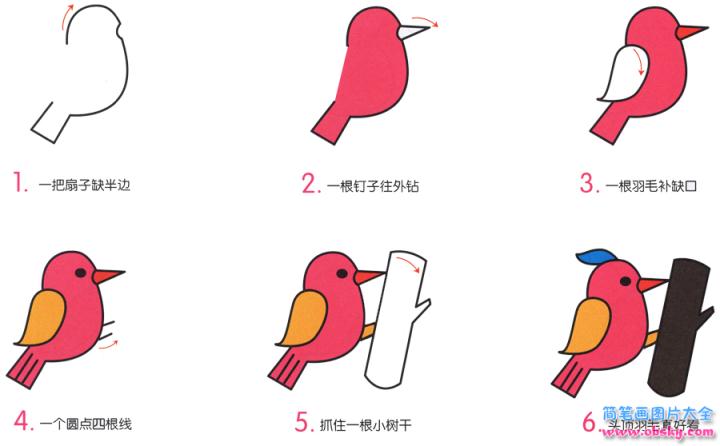 简笔画啄木鸟的具体步骤图示