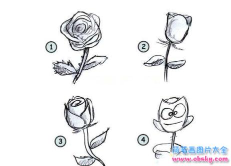 简笔画玫瑰花的形态的具体画法步骤图片教程