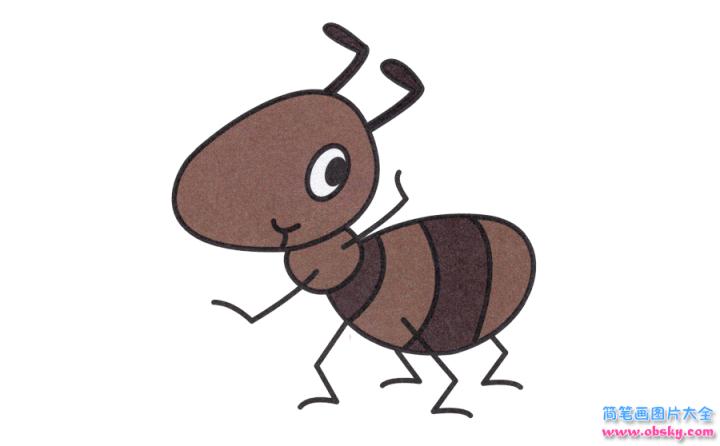 简笔画小蚂蚁的具体步骤图示