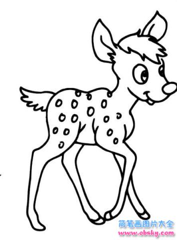 简笔画漂亮的梅花鹿的具体画法步骤图片教程