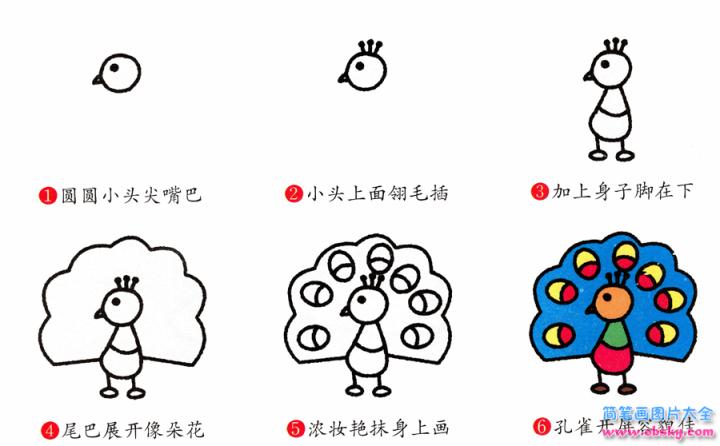 简笔画孔雀的具体步骤图示