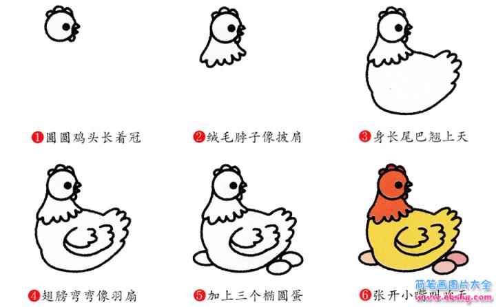 简笔画母鸡的具体步骤图示