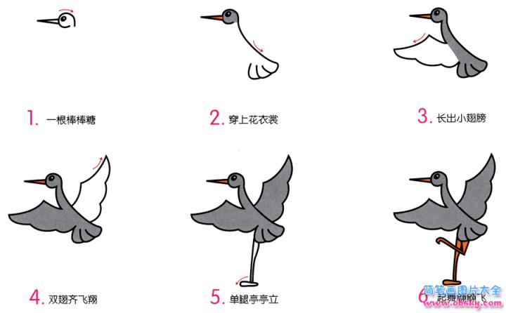 简笔画小灰鹤的具体步骤图示