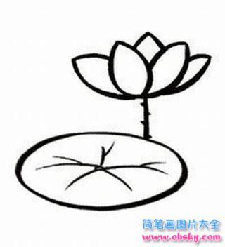 简笔画美丽的荷花的具体画法步骤图片教程