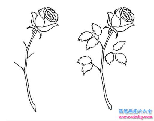 简笔画七夕的玫瑰的具体画法步骤图片教程