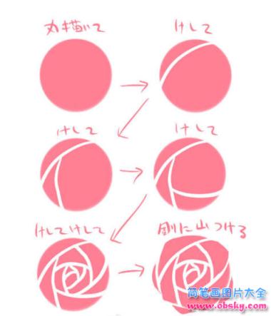 简笔画玫瑰花是怎样变成的的具体画法步骤图片教程