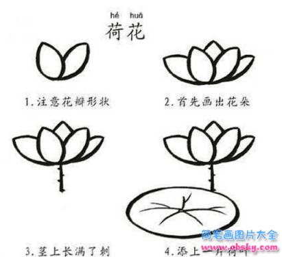 简笔画简单漂亮的荷花的具体画法步骤图片教程