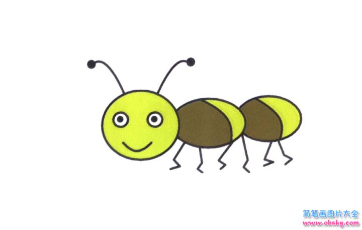 彩色简笔画蚂蚁的图片教程