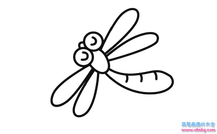 彩色简笔画蜻蜓的图片教程