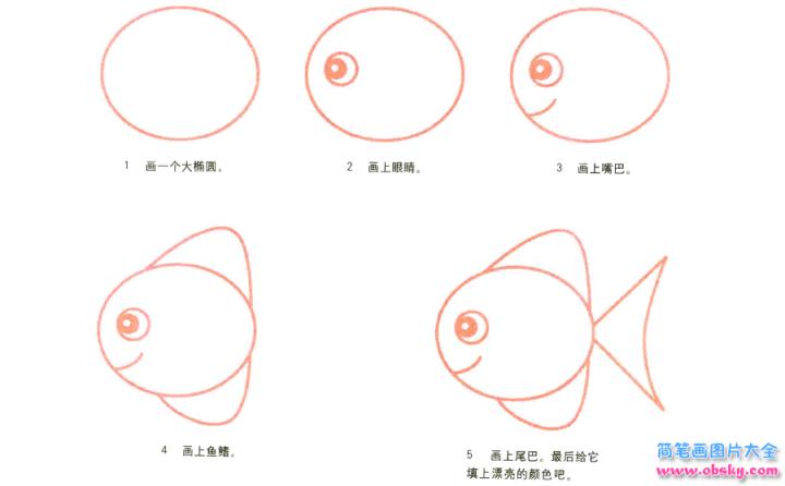 彩色简笔画胖头鱼的图片教程