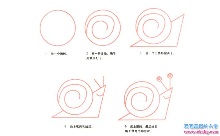 彩色简笔画蜗牛的图片教程