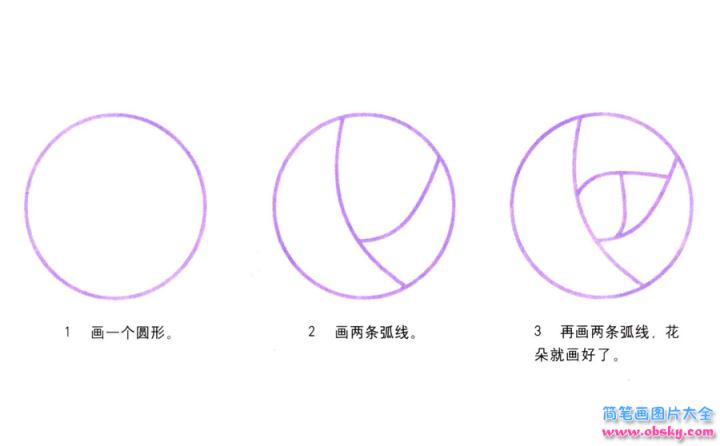 彩色简笔画玫瑰的图片教程