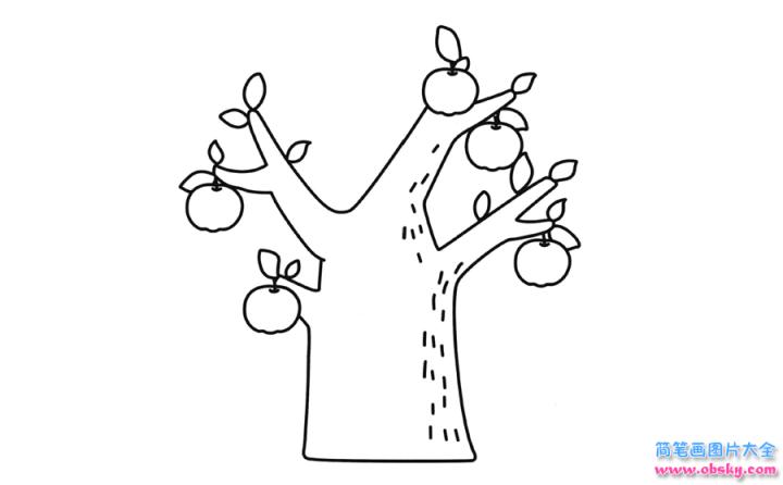 彩色简笔画苹果树的图片教程
