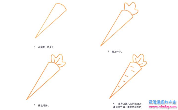 彩色简笔画胡萝卜的图片教程