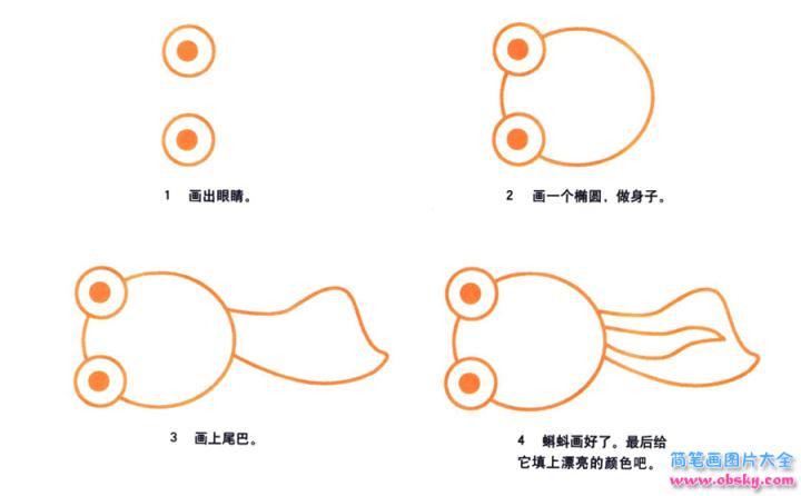 彩色简笔画蝌蚪的图片教程
