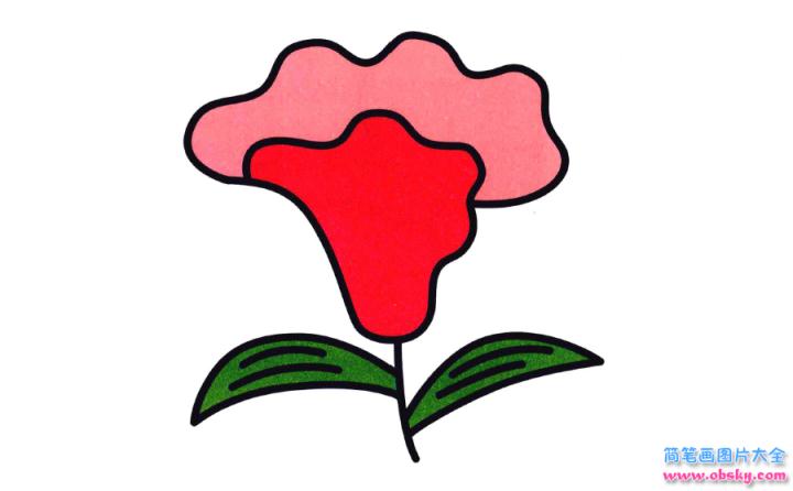 彩色简笔画鸡冠花的图片教程