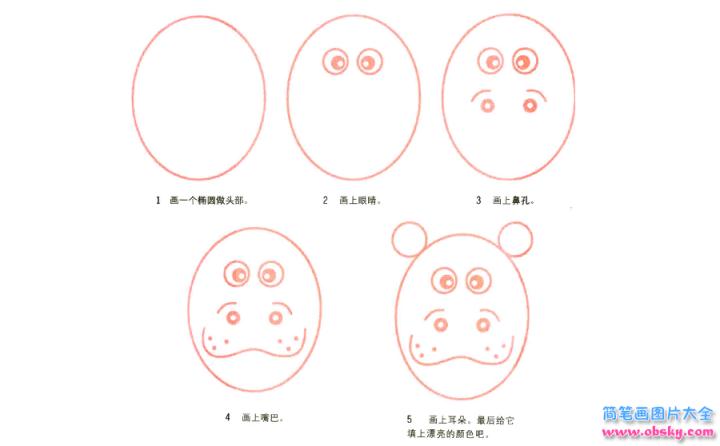 彩色简笔画河马的图片教程